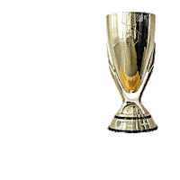 Sao Paulo Paulistao Sticker by Federação Paulista de Futebol