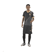 Indian Football Sticker by Indian Super League