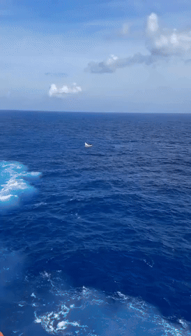 7 Rescued by Passing Cruise Ship After 5 Days at Sea