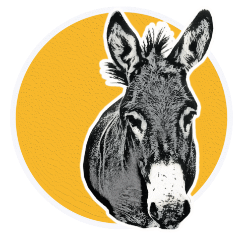 ongoldenrescue giphyupload Sticker