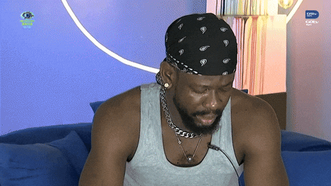 Bbnaija GIF by Big Brother Naija