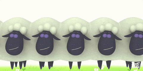 ask the storybots sheep GIF by StoryBots