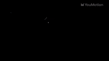 Skateboard Titles | Video |You Motion