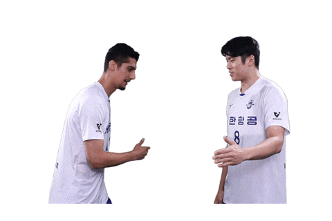 Jumbos Koreanair Sticker by kal_jbos