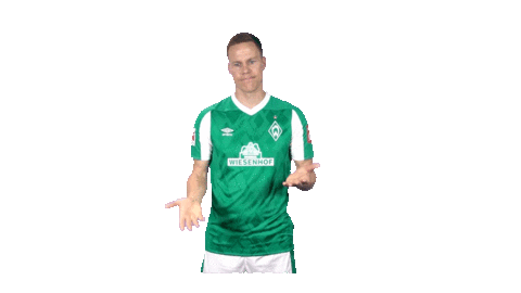 Niklas Moisander Bundesliga Sticker by SV Werder Bremen
