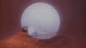 Wmg GIF by Warner Music Poland