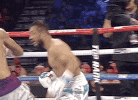 toprank fight boxing champion espn GIF