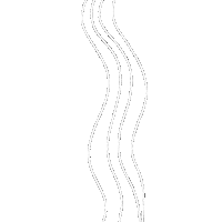 White Line Wiggle Sticker