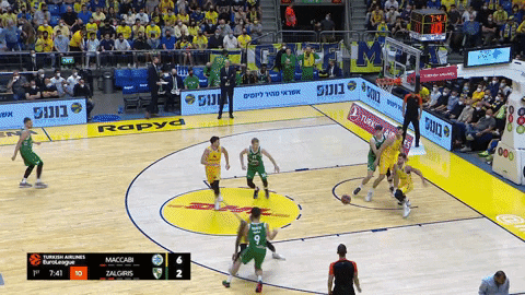 idangoldberg giphygifmaker GIF