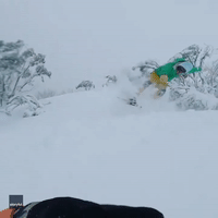 Australian Snowboarder Really Digs Fresh Powder