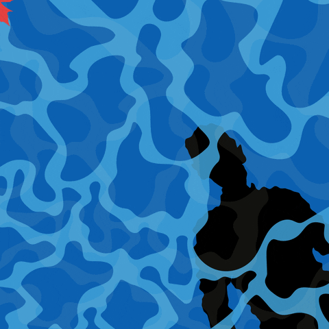 smartfishacademy giphyupload GIF