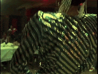 Strike A Pose Lgbt GIF by MOODMAN