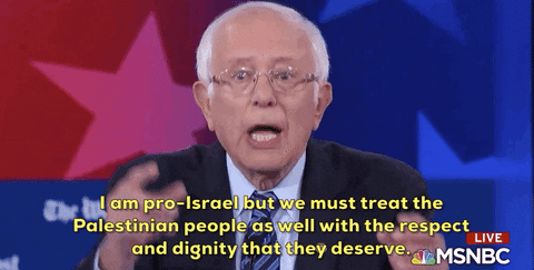 Bernie Sanders Israel GIF by GIPHY News