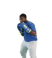 primosboxing boxing punch fighter boxer Sticker