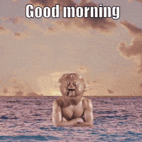 Good Morning Rainbow GIF by Cappa Video Productions