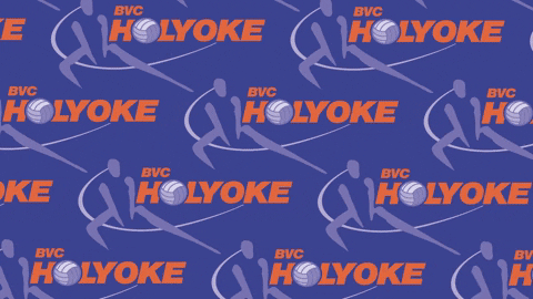 Volleyball Nova GIF by BVC Holyoke