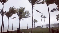 High Winds From Tropical Storm Isaias Blow Through Punta Cana