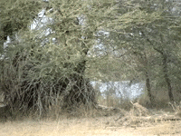 Awkward Education GIF by DIIMSA Stock