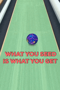 Bowling Strike GIF by Bowling by Jason Belmonte