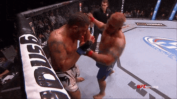 mark hunt ufc GIF