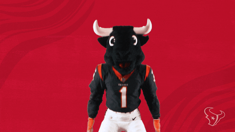 National Football League GIF by Houston Texans