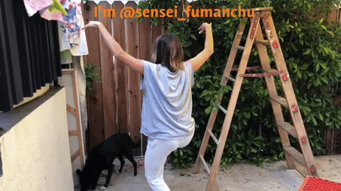 come again what you say GIF by Stephanie Barkley