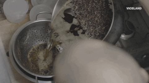viceland GIF by WEEDIQUETTE