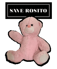 Bear Saludo Sticker by Mediaset España