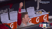 World Series Baseball GIF by MLB