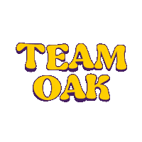 oakberryacai oak oakberry teamoak oakinwsl Sticker