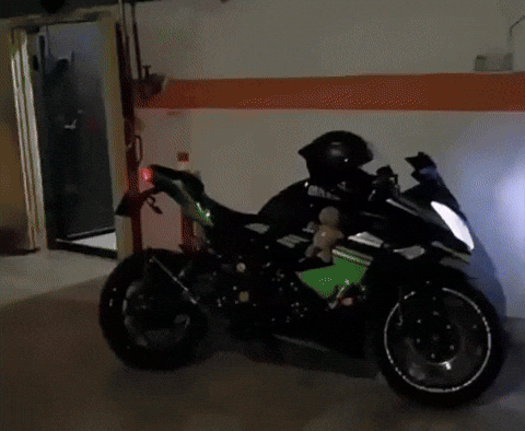 EMILEXX giphyupload GIF
