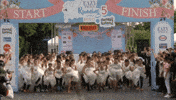 competition course GIF by BFMTV