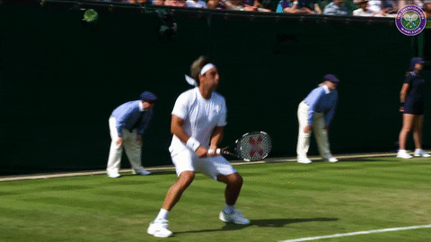 umpire fail GIF by Wimbledon