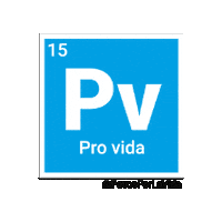 Provida Sticker by Pasos Por La Vida
