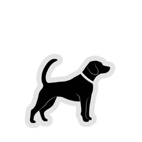 RedPandaRo giphyupload dog animal pet Sticker