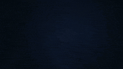 Wwwbcilitycom GIF by BCILITY