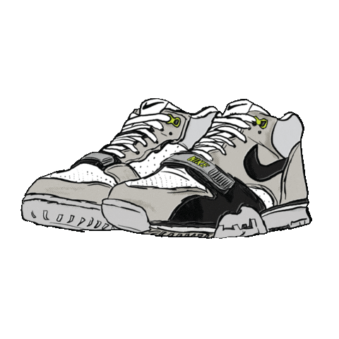 cartergunitgraphic giphyupload shoes skateboarding nike Sticker