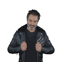 Ari Borovoy Sticker by BOBO