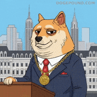 New York City Nod GIF by Doge Pound