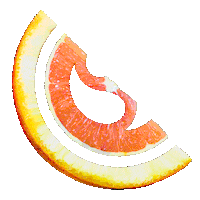 stevevoid Sticker by Strange Fruits