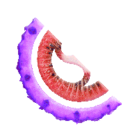 stevevoid Sticker by Strange Fruits