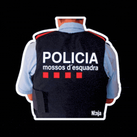 Police Barcelona GIF by Formación Ninja