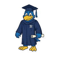 Graduate Sticker by Nazareth Academy
