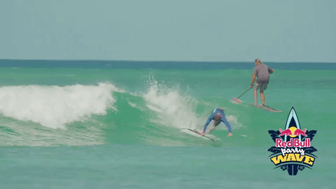 redbull giphygifmaker surfing hawaii red bull GIF