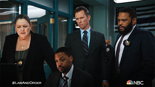 Episode 8 Reaction GIF by Law & Order