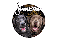 Labradors Sticker by Pimp Yo Pets