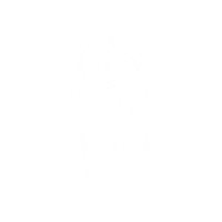 scuderia1918 team teal scuderia 1918 scuderia1918 Sticker