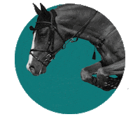 scuderia1918 sport horse equestrian teal Sticker