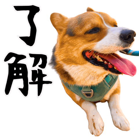 Corgi Ok Sticker