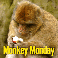You Got This Monday Morning GIF by Sealed With A GIF